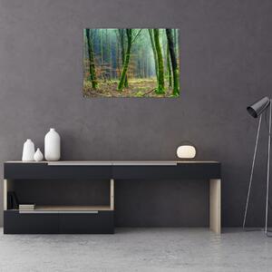 Tablou cu pădure (70x50 cm)