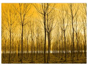Tablou cu pădure în apus de soare (70x50 cm)