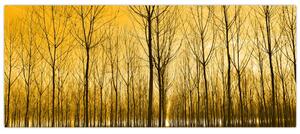 Tablou cu pădure în apus de soare (120x50 cm)
