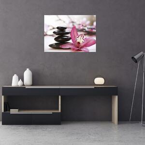 Tablou cupietre pentru masaj și orhidee (70x50 cm)