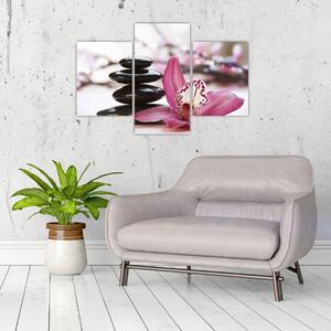 Tablou cupietre pentru masaj și orhidee (90x60 cm)