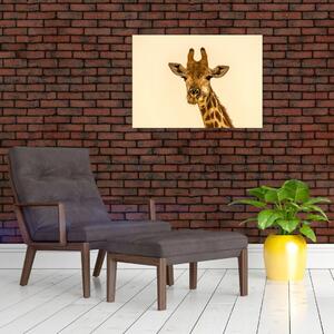 Tablou cu girafe (70x50 cm)