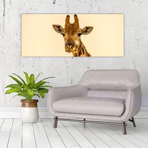 Tablou cu girafe (120x50 cm)