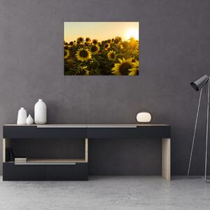 Tablou cu lan de floarea soarelui (70x50 cm)