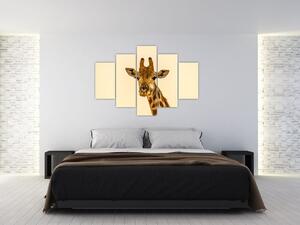 Tablou cu girafe (150x105 cm)