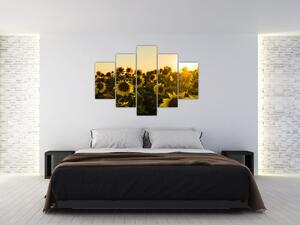 Tablou cu lan de floarea soarelui (150x105 cm)