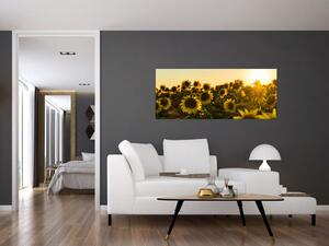 Tablou cu lan de floarea soarelui (120x50 cm)