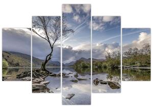 Tablou cu râu și copac (150x105 cm)