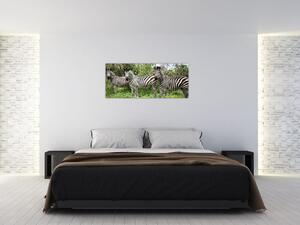 Tablou cu zebre (120x50 cm)