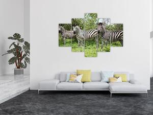 Tablou cu zebre (150x105 cm)
