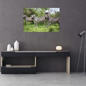 Tablou cu zebre (90x60 cm)