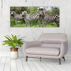 Tablou cu zebre (120x50 cm)