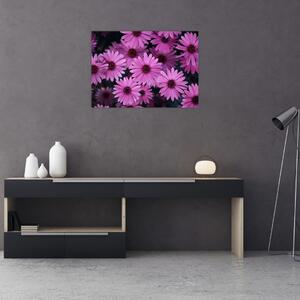 Tablou cu florile roz (70x50 cm)