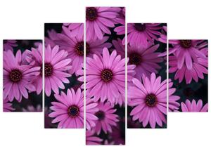 Tablou cu florile roz (150x105 cm)