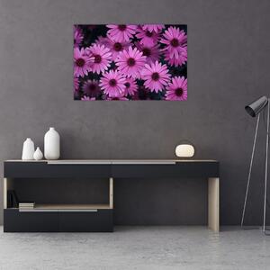 Tablou cu florile roz (90x60 cm)
