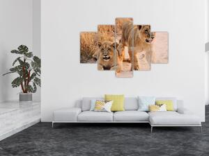 Tablou cu pui de leu (150x105 cm)