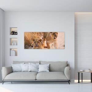Tablou cu pui de leu (120x50 cm)