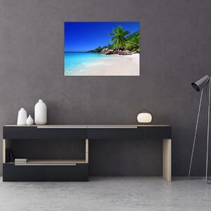 Tablou cu plaja pe insula Praslin (70x50 cm)