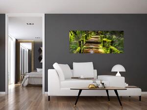 Tablou cu scări într-o pădure tropicală (120x50 cm)