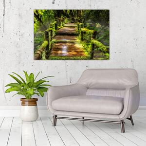 Tablou cu scări într-o pădure tropicală (90x60 cm)