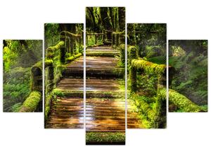 Tablou cu scări într-o pădure tropicală (150x105 cm)