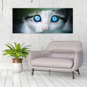 Tablou cu pisica (120x50 cm)