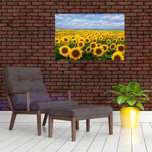 Tablou cu lan de floarea soarelui (90x60 cm)