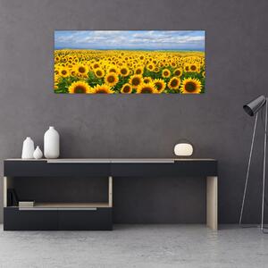 Tablou cu lan de floarea soarelui (120x50 cm)