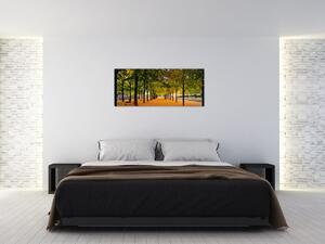 Tablou cu alee cu copaci în toamnă (120x50 cm)