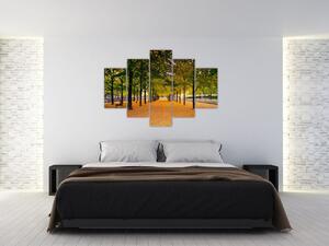 Tablou cu alee cu copaci în toamnă (150x105 cm)