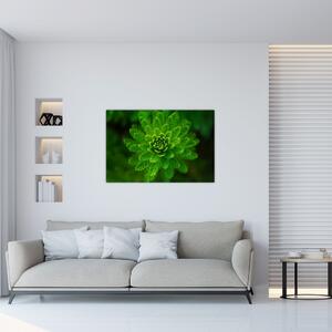Tablou cu coniferi (90x60 cm)