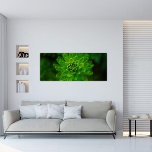 Tablou cu coniferi (120x50 cm)