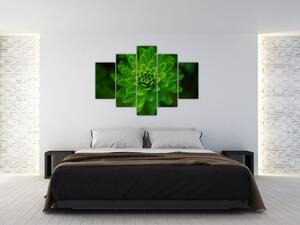 Tablou cu coniferi (150x105 cm)