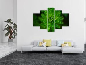 Tablou cu coniferi (150x105 cm)
