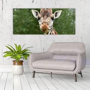 Tablou cu girafa (120x50 cm)