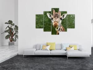 Tablou cu girafa (150x105 cm)