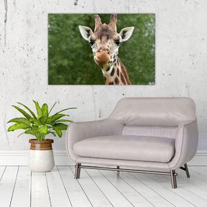 Tablou cu girafa (90x60 cm)