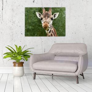 Tablou cu girafa (70x50 cm)