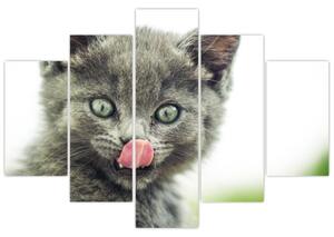 Tablou cu pisicuța lingându-se (150x105 cm)