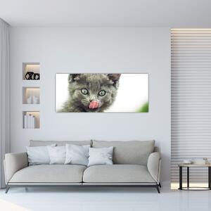 Tablou cu pisicuța lingându-se (120x50 cm)