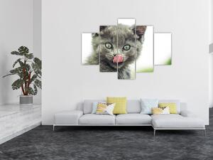 Tablou cu pisicuța lingându-se (150x105 cm)