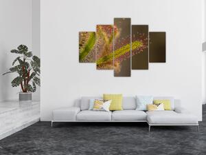 Tablou cu plantă (150x105 cm)