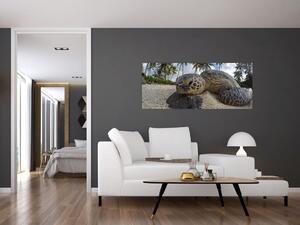 Tablou cu broască țestoasă (120x50 cm)