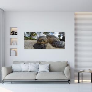 Tablou cu broască țestoasă (120x50 cm)