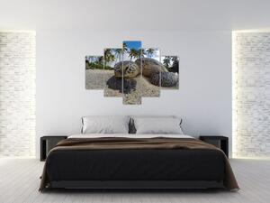 Tablou cu broască țestoasă (150x105 cm)