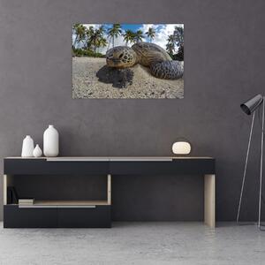 Tablou cu broască țestoasă (90x60 cm)