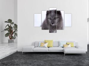 Tablou cu vulpe polară (150x105 cm)