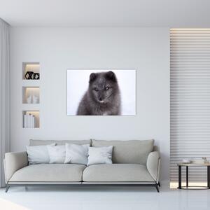Tablou cu vulpe polară (90x60 cm)