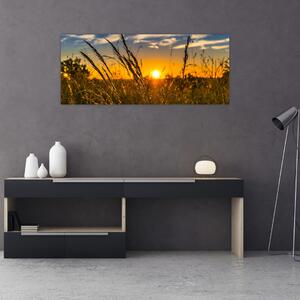 Tablou cu câmp în apus de soare (120x50 cm)