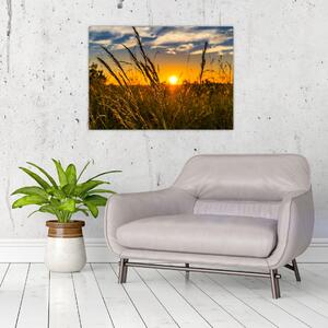 Tablou cu câmp în apus de soare (70x50 cm)